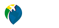 Brasileiros por Aí